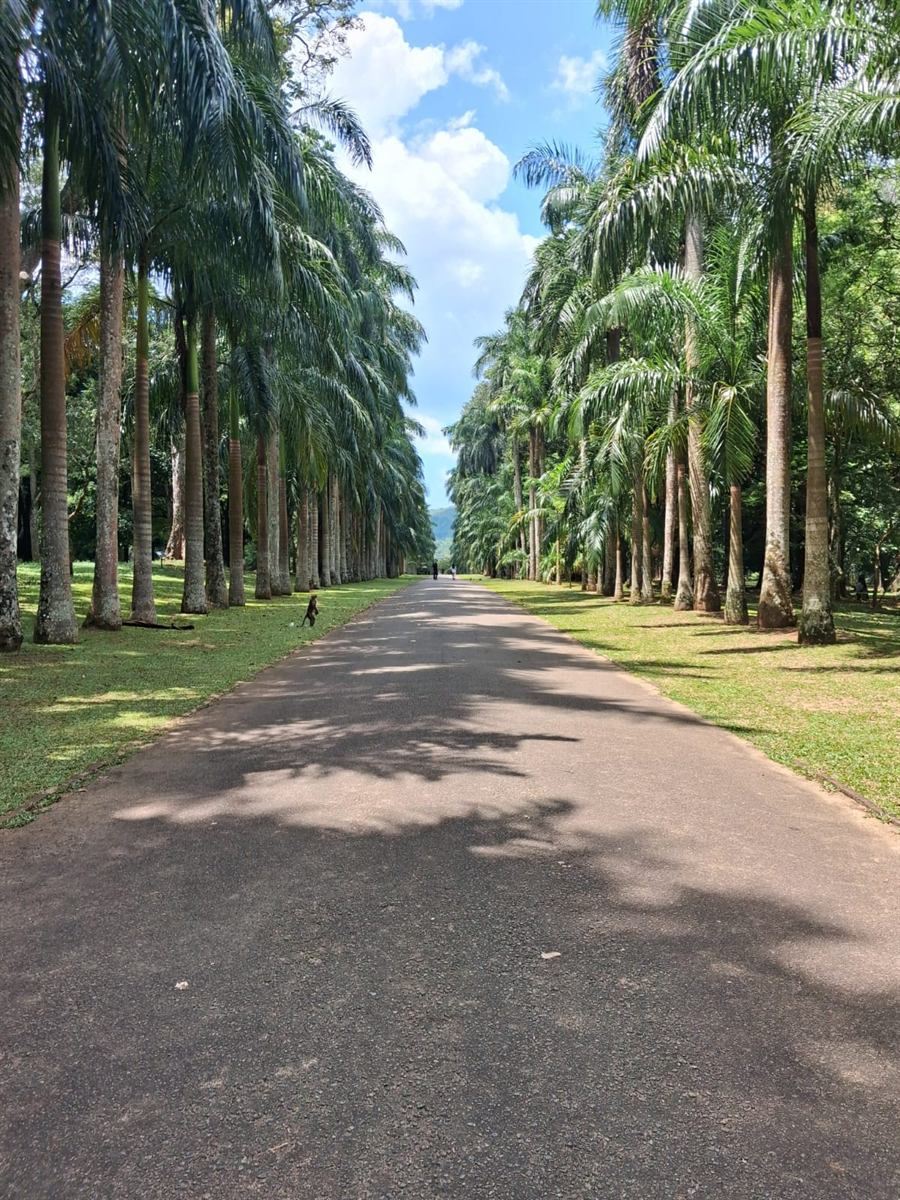 A&M TOURS Gallery Photo